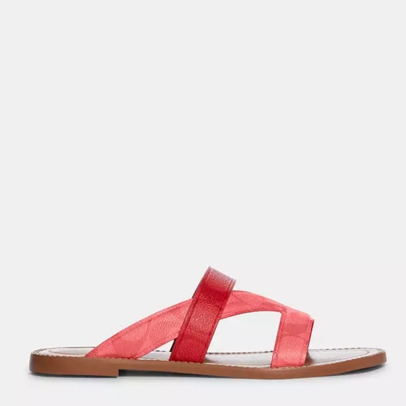 Coach sandal - Picture 11 of 11